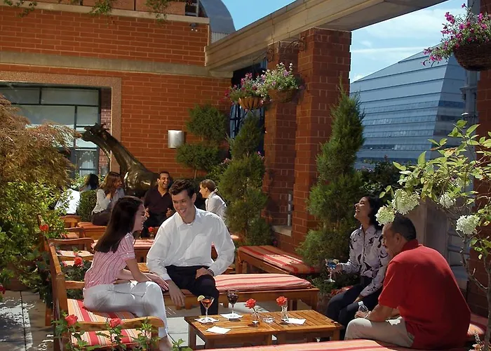 Giraffe By Library CollectionAlbergo